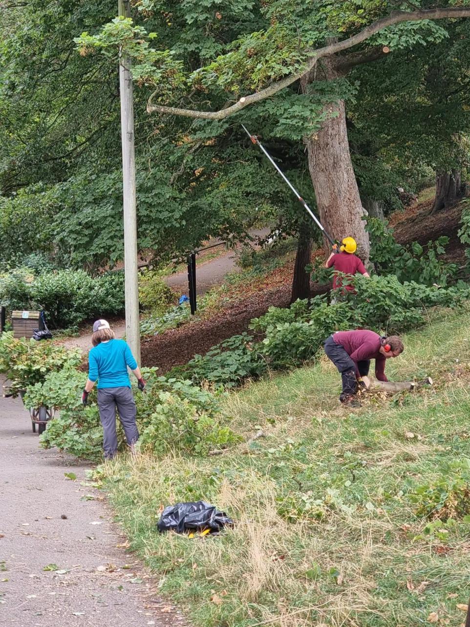 Local Volunteers Driving Positive Environmental Net Gain Across Our Communities